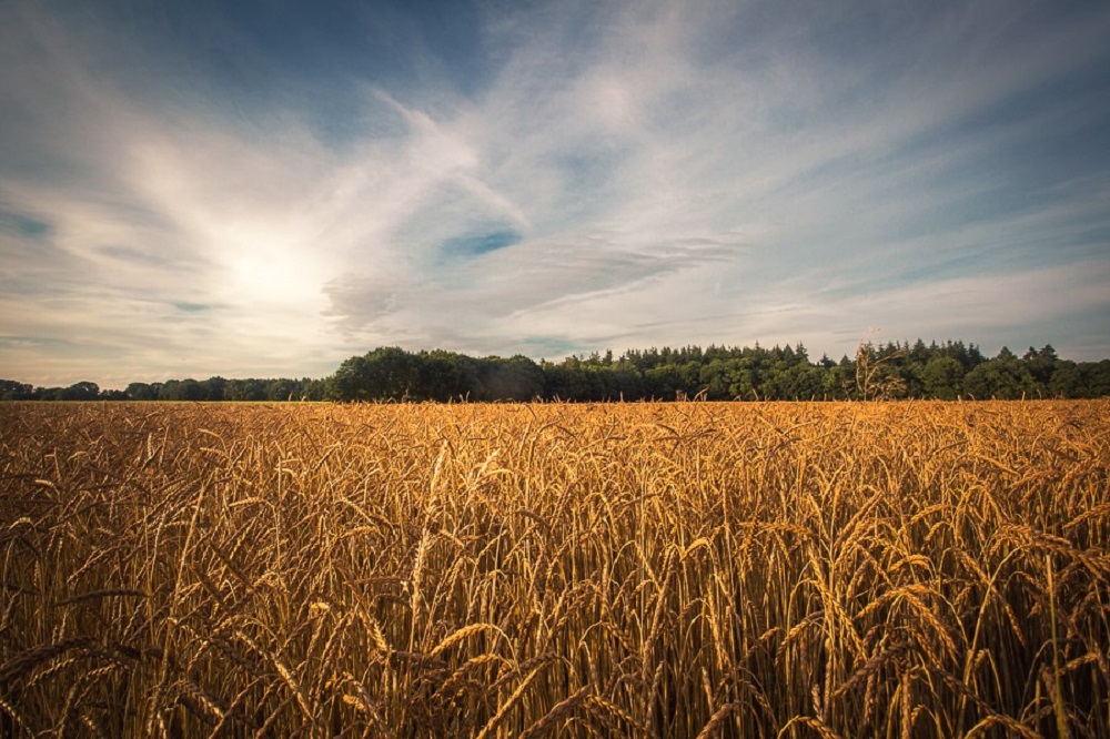 De groei van biologische landbouw hapert in 2023