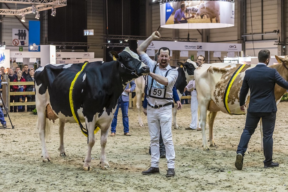 Prijskampen Agriflanders vooralsnog niet in gevaar door MKZ