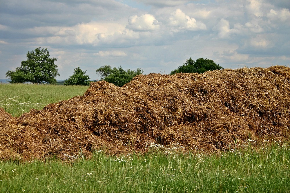 Neem foto's als bewijsmateriaal voor ecoregeling verhogen koolstofgehalte